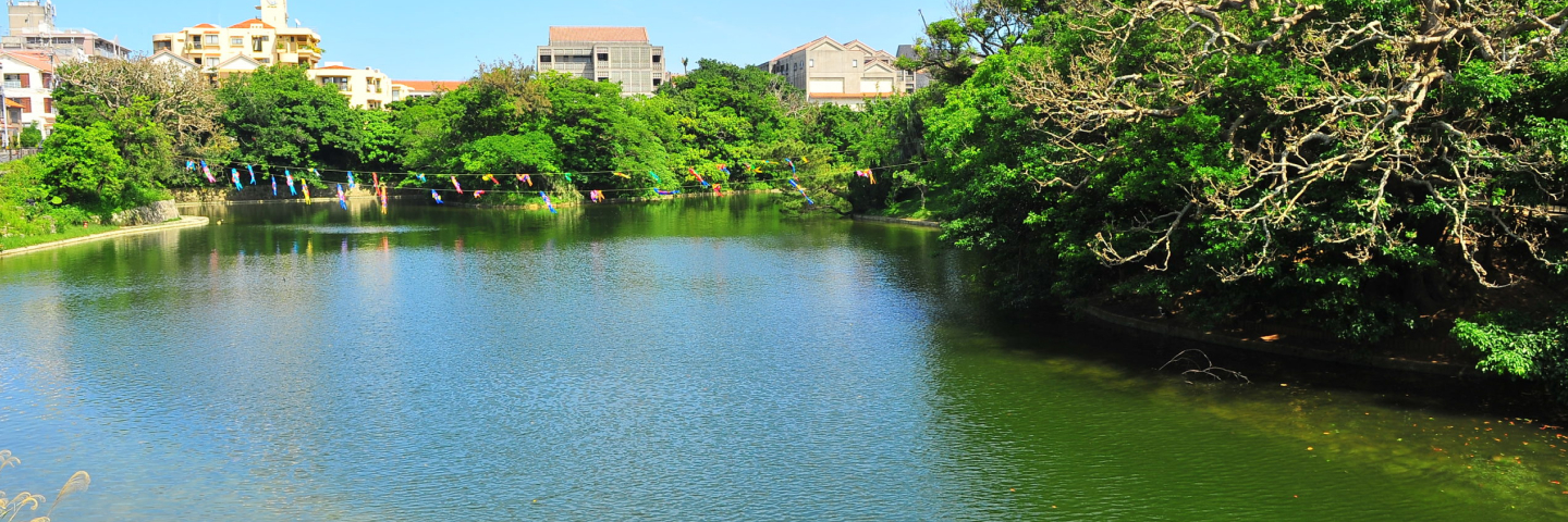 緑に囲まれた首里の池の風景